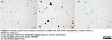Anti Horse CD44 Antibody, clone CVS18 gallery image 11