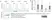Anti Horse CD44 Antibody, clone CVS18 thumbnail image 4