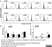 Anti Horse CD44 Antibody, clone CVS18 thumbnail image 8