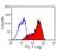 Anti Horse CD5 Antibody, clone CVS5 thumbnail image 1