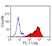 Anti Horse CD5 Antibody, clone CVS5 thumbnail image 2