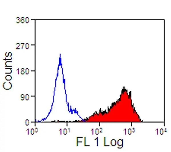 Anti Horse CD5 Antibody, clone CVS5 gallery image 2