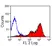 Anti Horse CD5 Antibody, clone CVS5 thumbnail image 3