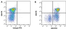 Anti Horse CD5 Antibody, clone CVS5 gallery image 4