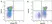 Anti Horse CD5 Antibody, clone CVS5 thumbnail image 4