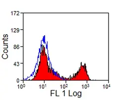 Anti Horse CD8 Antibody, clone CVS21 gallery image 1