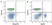 Anti Horse CD8 Antibody, clone CVS21 thumbnail image 5
