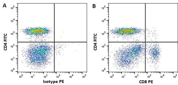 Anti Horse CD8 Antibody, clone CVS21 gallery image 5