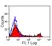 Anti Horse CD8 Antibody, clone CVS8 thumbnail image 1