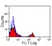 Anti Horse CD8 Antibody, clone CVS8 thumbnail image 2