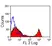 Anti Horse CD8 Antibody, clone CVS8 thumbnail image 3