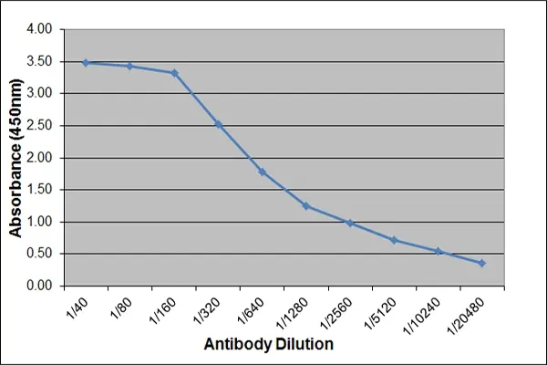 Anti Horse IgE Antibody, clone 3H10 gallery image 2