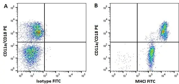 Anti Horse MHC Class I Monomorphic Antibody, clone CVS22 gallery image 5