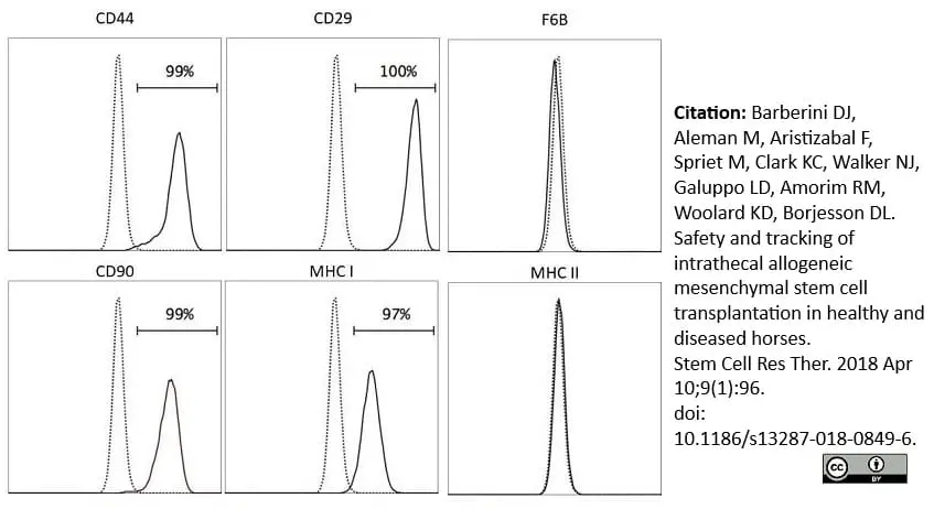 Anti Horse MHC Class I Monomorphic Antibody, clone CVS22 gallery image 6