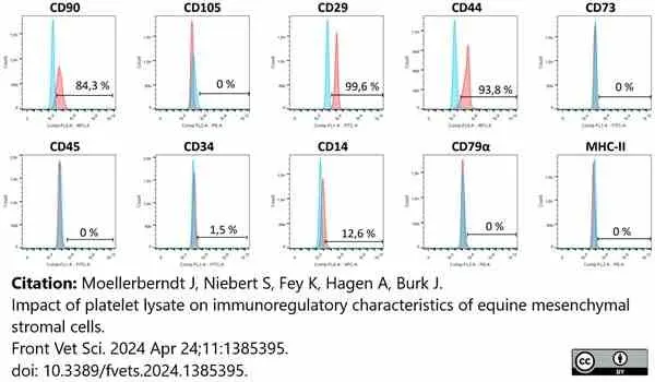 Anti Horse MHC Class II Monomorphic Antibody, clone CVS20 gallery image 8
