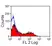 Anti Horse Pan B-Cells Antibody, clone CVS36 thumbnail image 3