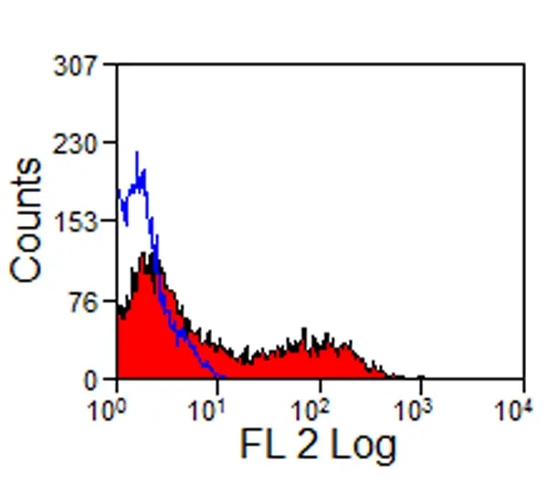 Anti Horse Pan B-Cells Antibody, clone CVS36 gallery image 3