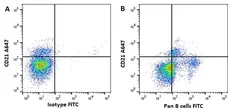 Anti Horse Pan B-Cells Antibody, clone CVS36 gallery image 4