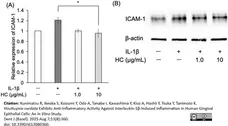 ANTI-ACTIN hFAB™ Rhodamine Antibody Antibody, clone AbD22606 gallery image 8