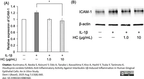 ANTI-ACTIN hFAB™ Rhodamine Antibody Antibody, clone AbD22606 gallery image 8