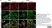 Anti Human Actin Beta Antibody, clone 4C2 thumbnail image 14
