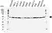 Anti Actin Beta Antibody, clone 4C2 (PrecisionAb Monoclonal Antibody) thumbnail image 1