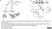 Anti Actin Beta Antibody, clone 4C2 (PrecisionAb Monoclonal Antibody) thumbnail image 2