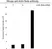 Anti Actin Beta Antibody, clone 4C2 (PrecisionAb Monoclonal Antibody) thumbnail image 4