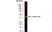 Anti Human Actin Beta Antibody, clone AbD12141 thumbnail image 2