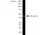 Anti Human Actin Gamma Antibody, clone 2A3 (Monoclonal Antibody Antibody) thumbnail image 1