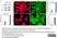 Anti Human Actin Gamma Antibody, clone 2A3 (Monoclonal Antibody Antibody) thumbnail image 16