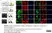 Anti Human Actin Gamma Antibody, clone 2A3 (Monoclonal Antibody Antibody) thumbnail image 4