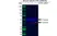Anti ACTR2 Antibody, clone CD01/1A6 (PrecisionAb Monoclonal Antibody) thumbnail image 2