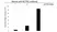 Anti ACTR2 Antibody, clone CD01/1A6 (PrecisionAb Monoclonal Antibody) thumbnail image 3