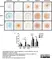 Anti Human Aggrecan Antibody, clone 7E1 thumbnail image 1