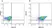 Anti AKR1C2 Antibody, clone CPTC13 (PrecisionAb Monoclonal Antibody) thumbnail image 2