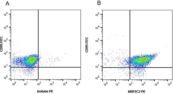 Anti AKR1C2 Antibody, clone CPTC13 (PrecisionAb Monoclonal Antibody) gallery image 2