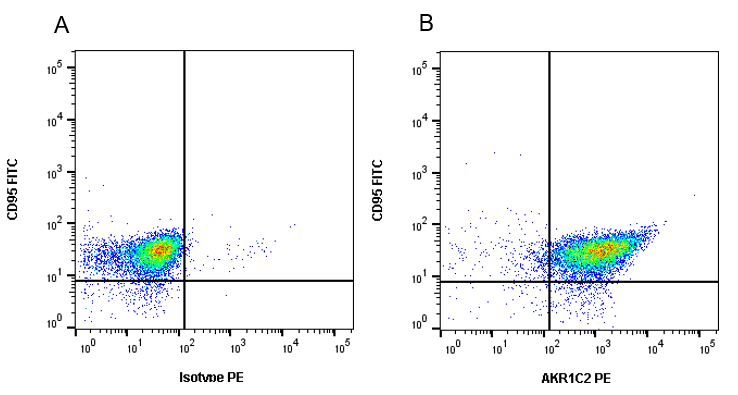 Anti AKR1C2 Antibody (PrecisionAb Monoclonal Antibody) gallery image 2