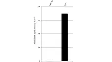 Anti AKT1 Antibody, clone OTI4C11 (PrecisionAb Monoclonal Antibody) gallery image 3