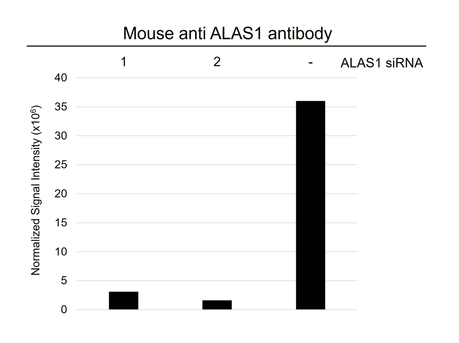 Anti ALAS1 Antibody, clone OTI1C5 (PrecisionAb Monoclonal Antibody) gallery image 3