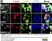 Anti Human Amylin Antibody, clone R10/99 thumbnail image 2