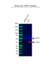 Anti APEX1 Antibody, clone OTI6E10 (PrecisionAb Monoclonal Antibody) thumbnail image 2