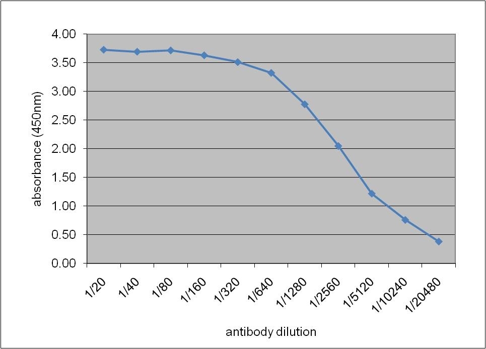 Anti Human Apolipoprotein E Antibody, clone WUE-4 gallery image 1