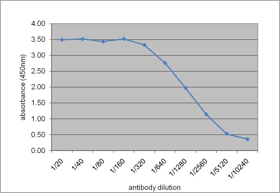 Anti Human Apolipoprotein E Antibody, clone WUE-4 gallery image 2