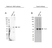 Anti ARAF Antibody, clone OTI2G4 (PrecisionAb Monoclonal Antibody) thumbnail image 2