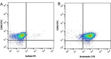 Anti Argonaute 2 Antibody, clone H01/6G5 (PrecisionAb Monoclonal Antibody) gallery image 3