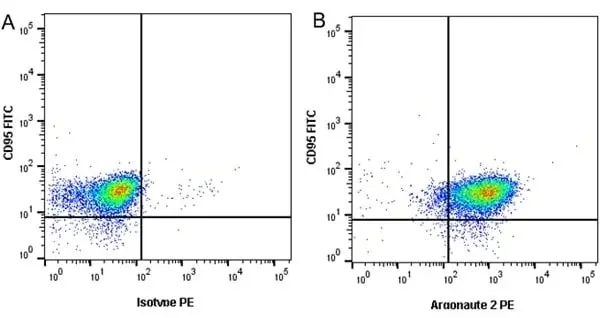 Anti Argonaute 2 Antibody, clone H01/6G5 (PrecisionAb Monoclonal Antibody) gallery image 3