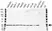 Anti ATP5O Antibody, clone OTI2E9 (PrecisionAb Monoclonal Antibody) thumbnail image 1