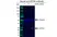 Anti ATP5O Antibody, clone OTI2E9 (PrecisionAb Monoclonal Antibody) thumbnail image 2