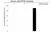 Anti ATP5O Antibody, clone OTI2E9 (PrecisionAb Monoclonal Antibody) thumbnail image 3